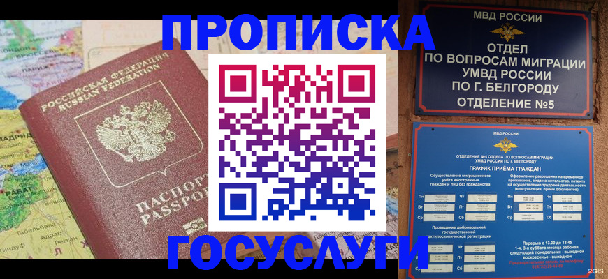 прописка регистрация в Мурино